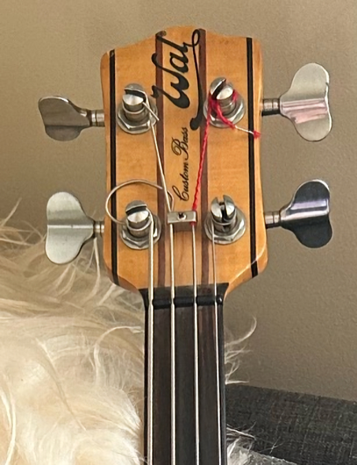 PB1630.headstock-front.jpg