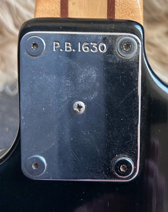 PB1630.neckplate.jpg