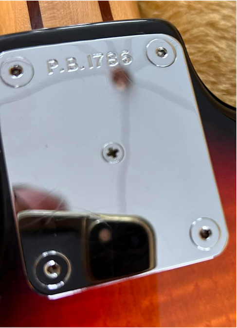 PB1786.neckplate.jpg