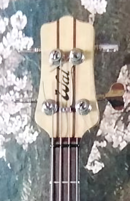 W2014.headstock-front.jpg