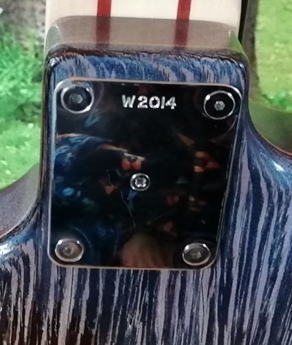 W2014.neckplate.jpg