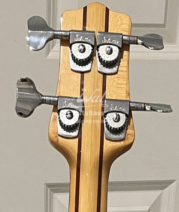 W2099.headstock-rear.jpg