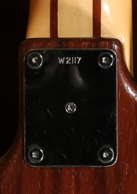 W2117.neckplate.jpg