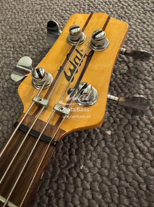 W2239.headstock-front.jpg