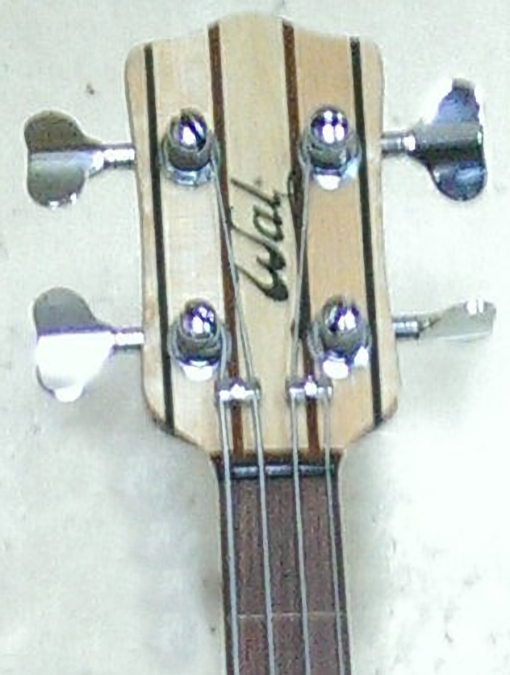 W2554.headstock-front.jpg