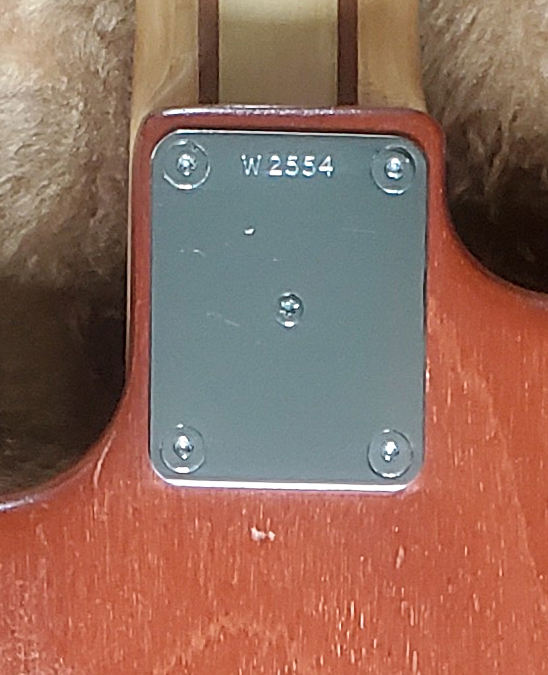 W2554.neckplate.jpg