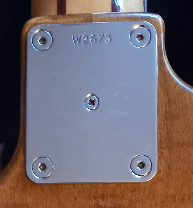 W2673.neckplate.jpg