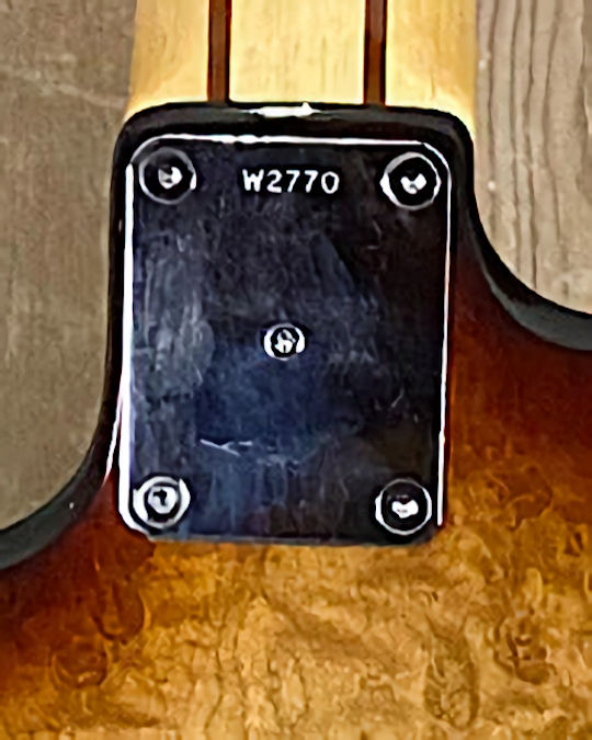 W2770.neckplate.jpg