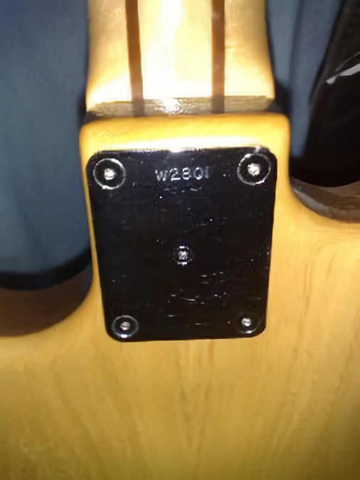 W2801.neckplate.jpg