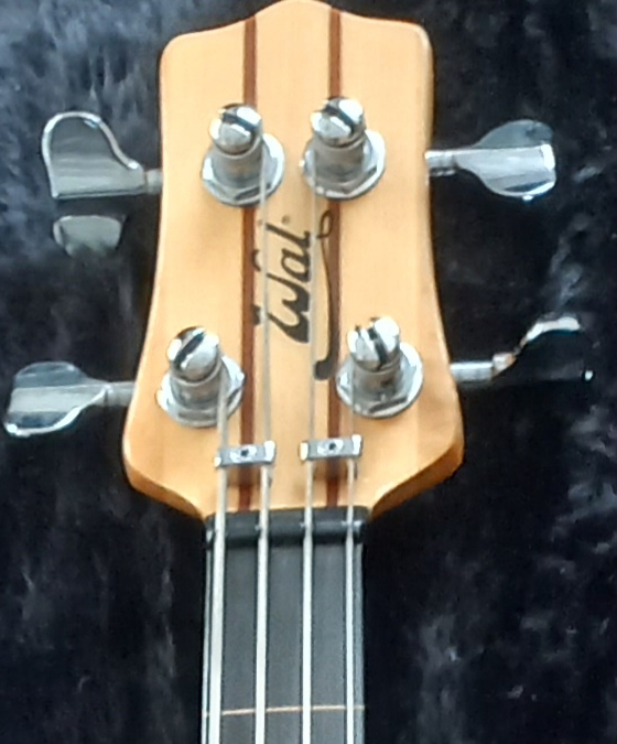 W2813.headstock-front.jpg