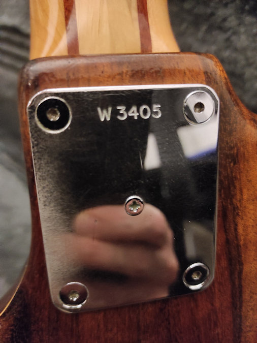 W3405.neckplate.jpg