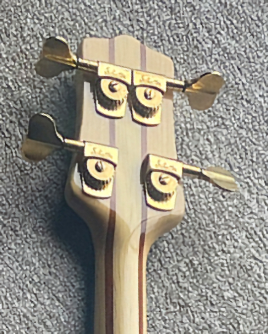 W3413.headstock-rear.jpg