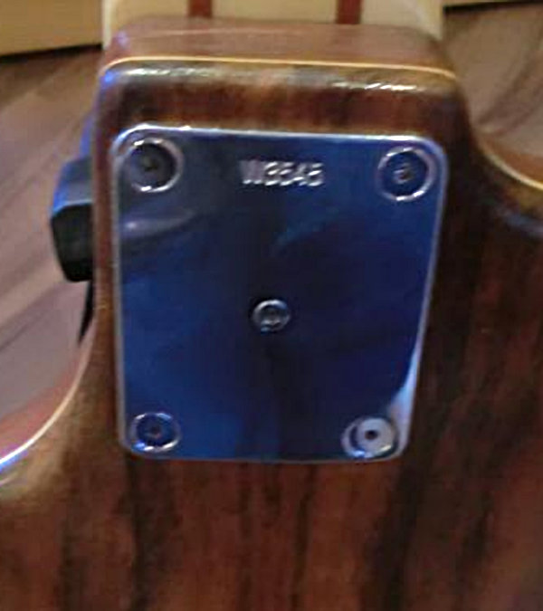 W3545.neckplate.jpg