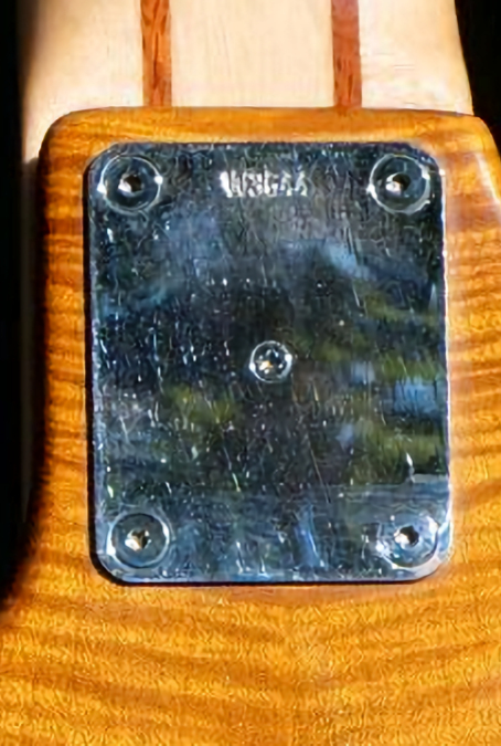 W3644.neckplate.jpg