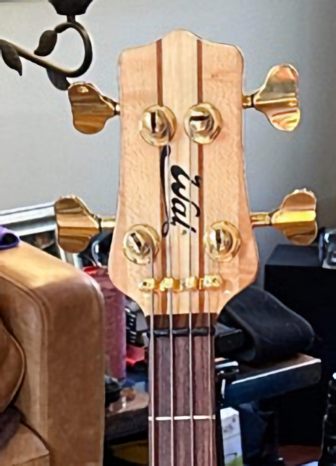 W3841.headstock-front.jpg