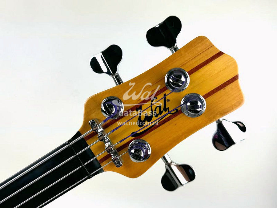 W4047.headstock-front.jpg