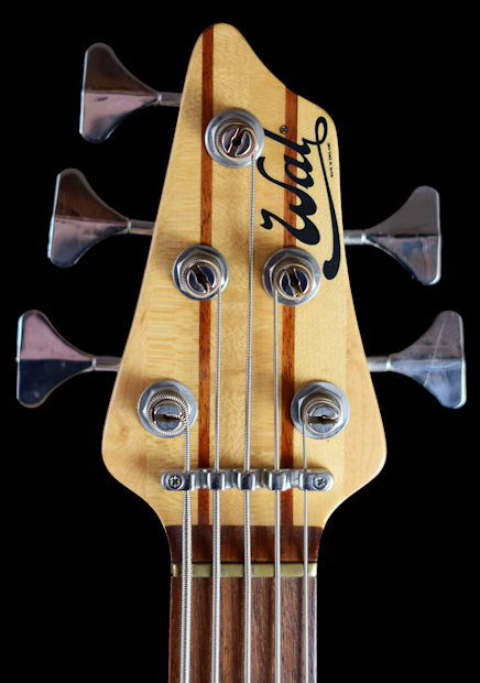 W41001.headstock-front.jpg