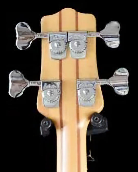 W4119.headstock-rear.jpg