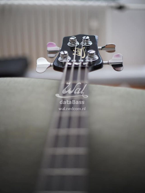 W4169.headstock.jpg