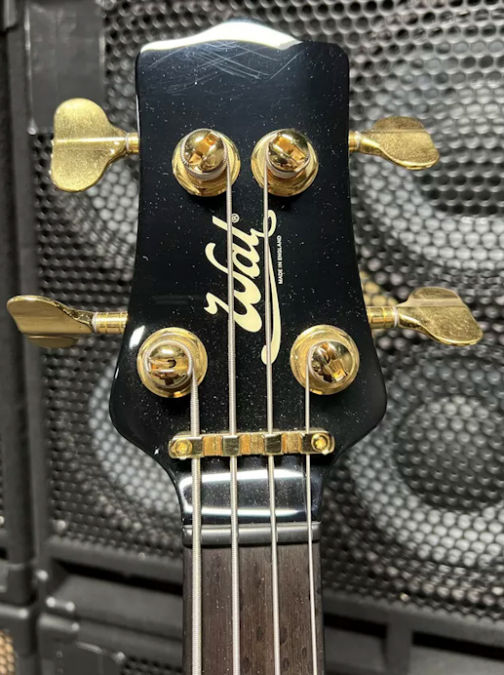 W4250.headstock-front.jpg