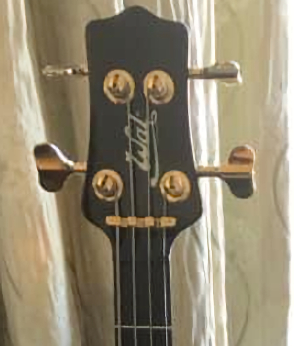 W4313.headstock-front.jpg