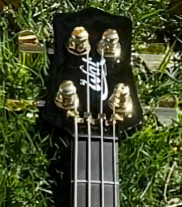 W4336.headstock-front.jpg