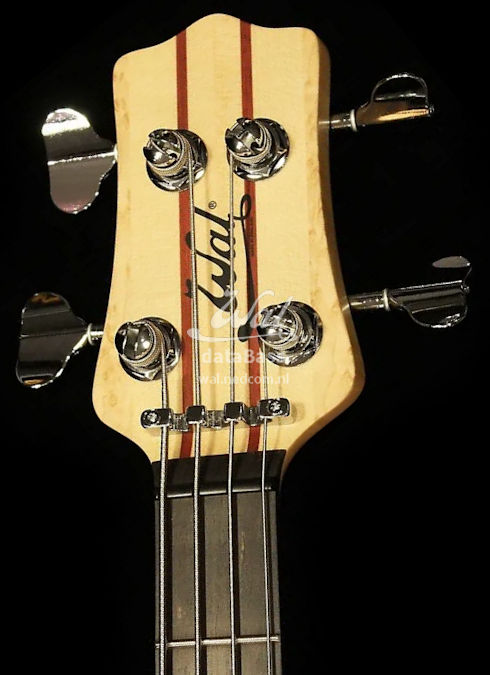 W4375.headstock-front.jpg