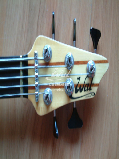 W5398.headstock.jpg