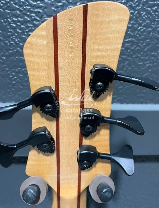 WF2003.headstock-rear.jpg